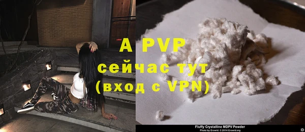 гашик Белоозёрский