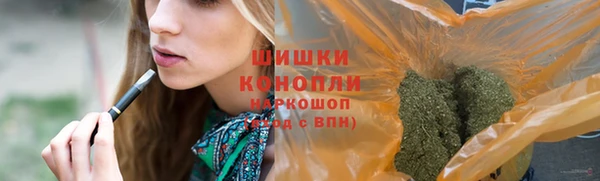 гашик Белоозёрский