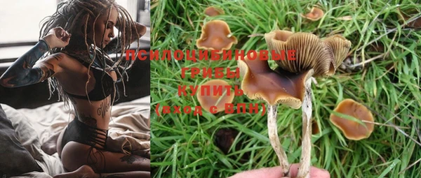 гашик Белоозёрский