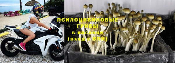гашик Белоозёрский