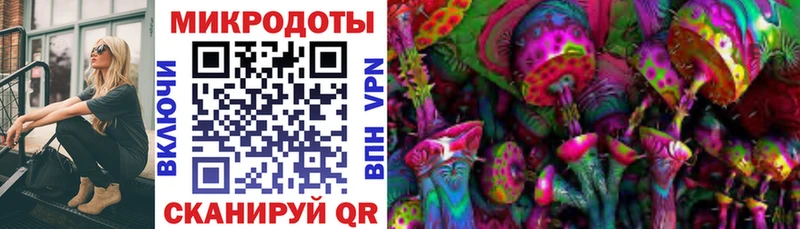 Галлюциногенные грибы мицелий  наркотики  Городец 